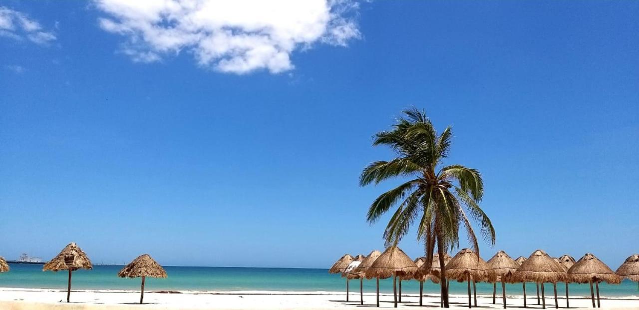 Hotel & Suites Domani Progreso (Yucatan) Exterior foto